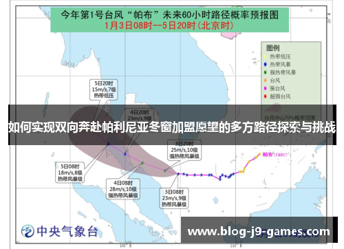 如何实现双向奔赴帕利尼亚冬窗加盟愿望的多方路径探索与挑战