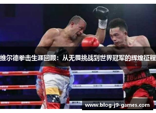 维尔德拳击生涯回顾：从无畏挑战到世界冠军的辉煌征程