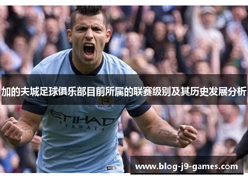 加的夫城足球俱乐部目前所属的联赛级别及其历史发展分析 加的夫城足球俱乐部目前所属的联赛级别及其历史发展分析